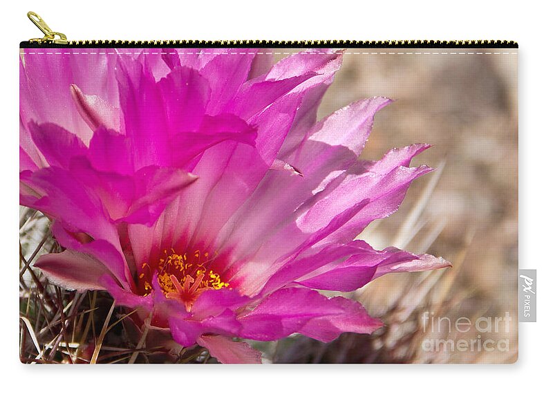 Hedgehog Cactus Flower Zip Pouch featuring the photograph Pink Cactus Flower by Kelly Holm