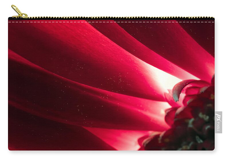 Pink Chrysanthemum Zip Pouch featuring the photograph Pink Chrysanthemum Flower Petals in Macro Canvas Close-up by John Williams