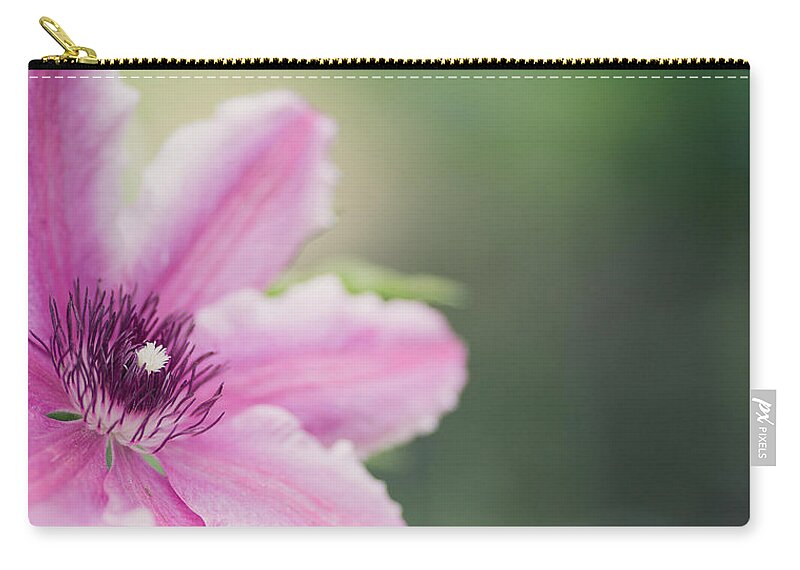 Flowers Zip Pouch featuring the photograph Pink Clematis by Rebecca Cozart