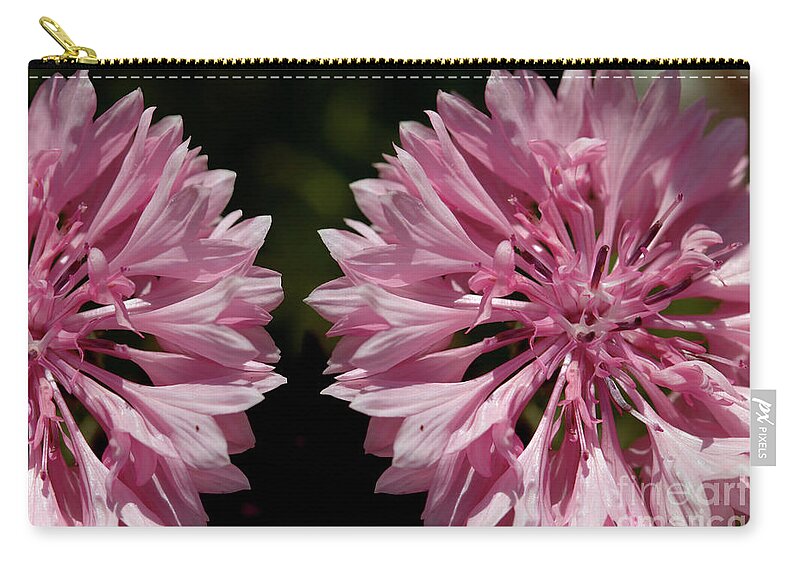 Cornflower Carry-all Pouch featuring the photograph Pink cornflowers by Baggieoldboy