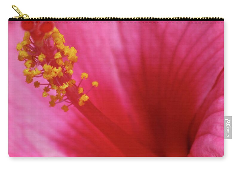 Hibiscus Zip Pouch featuring the photograph Pink Cotton Candy 02 by Pamela Critchlow