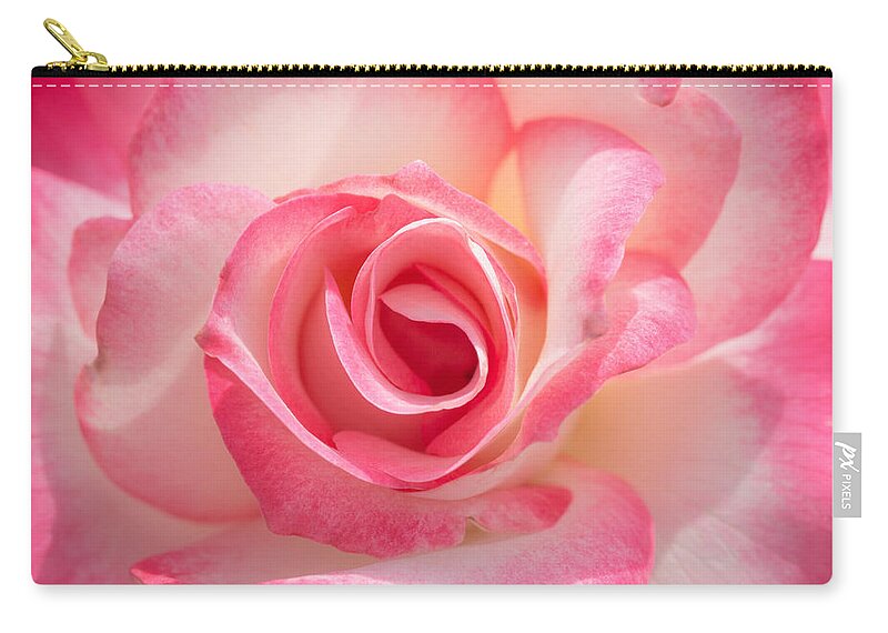 Pink Zip Pouch featuring the photograph Pink Cotton Candy Rose by Ana V Ramirez