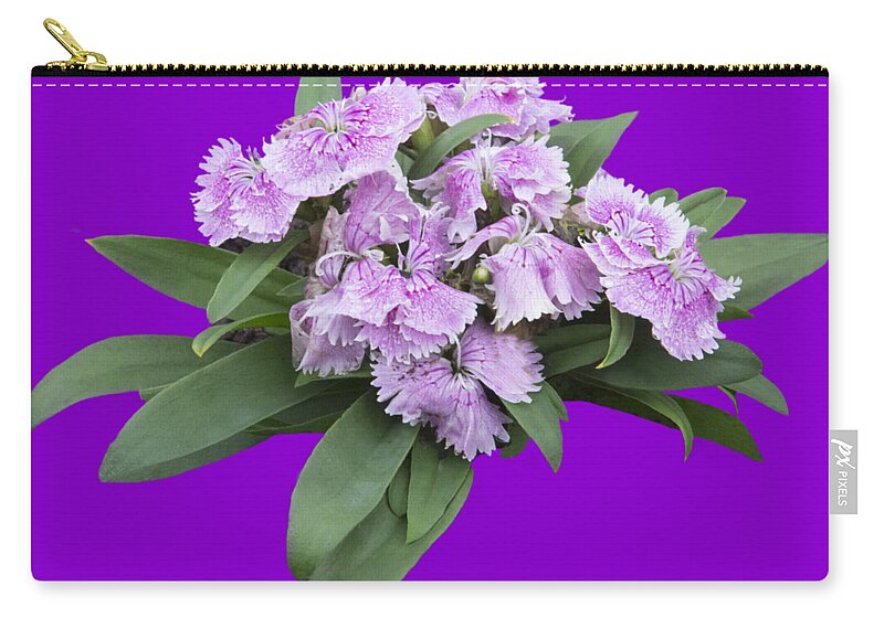 Plant Zip Pouch featuring the photograph Pink Floral Cutout by Linda Phelps