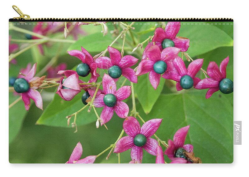 Tree Zip Pouch featuring the photograph Pink Flower by John Benedict