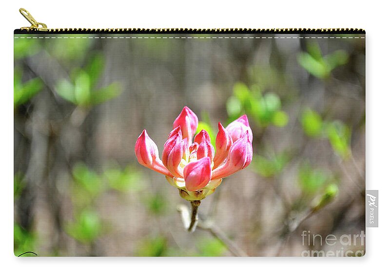 Pink Flower Zip Pouch featuring the photograph Pink Flower of the Mountains by Verana Stark