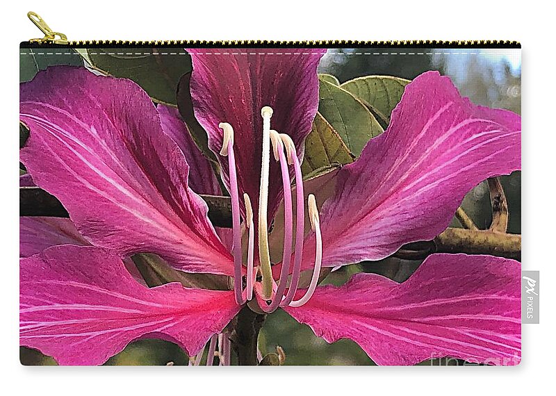 Photograph Zip Pouch featuring the photograph Purple Flower Power by Carol Riddle