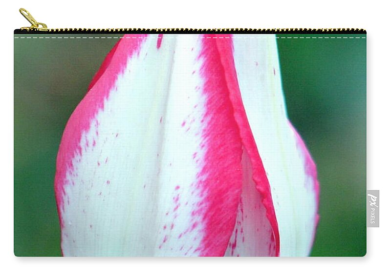 Flowers Zip Pouch featuring the photograph Pink Fringed by Deborah Crew-Johnson