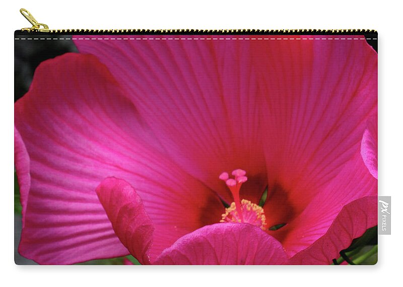 Floral Zip Pouch featuring the photograph Pink Hibiscus by Mikki Cucuzzo