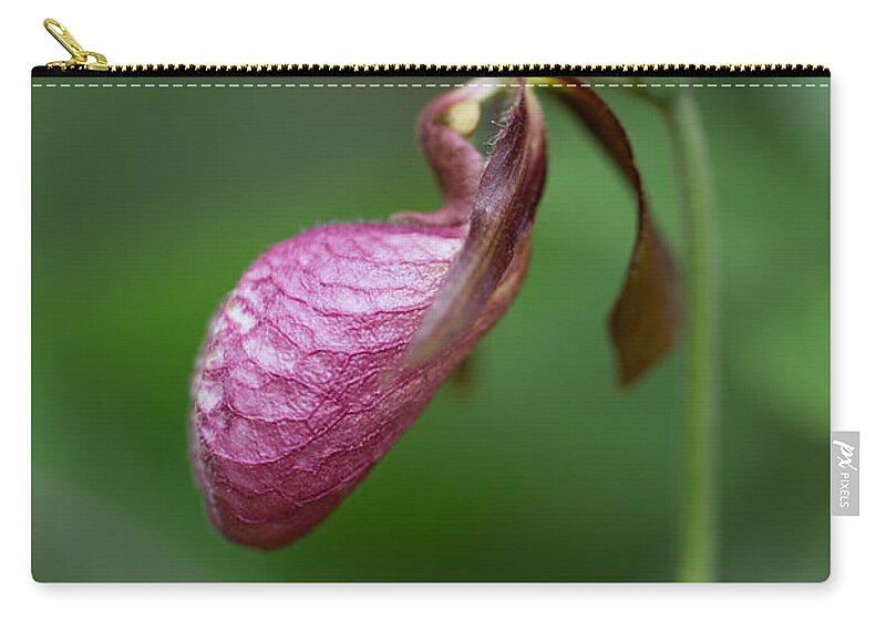 Canada Carry-all Pouch featuring the photograph Pink Ladys Slipper Cypripedium acaule by Jakub Sisak