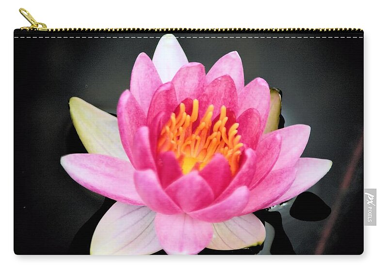 Water Zip Pouch featuring the photograph Pink Lilly by Bonfire Photography