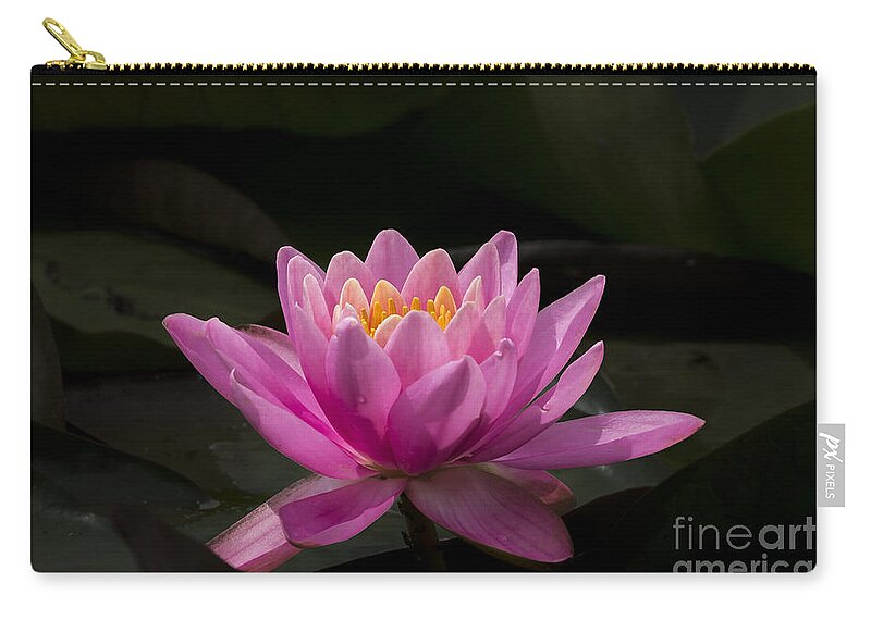 Flower Zip Pouch featuring the photograph Pink Lotus by Andrea Silies