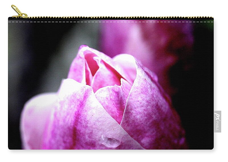 Magnolia Zip Pouch featuring the photograph Pink Magnolia . 7D5360 by Wingsdomain Art and Photography