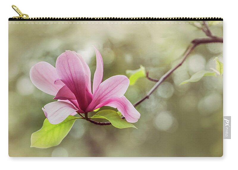 Magnolia Zip Pouch featuring the photograph Pink Magnolia flower by Jaroslaw Blaminsky