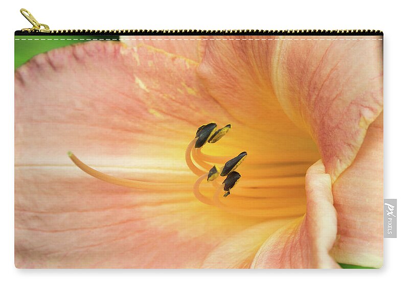 Lily Zip Pouch featuring the photograph Pink Maiden Bloom by Douglas Barnett