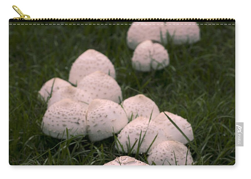 Mushrooms Zip Pouch featuring the photograph Pink Mushrooms Oh My by John Harmon