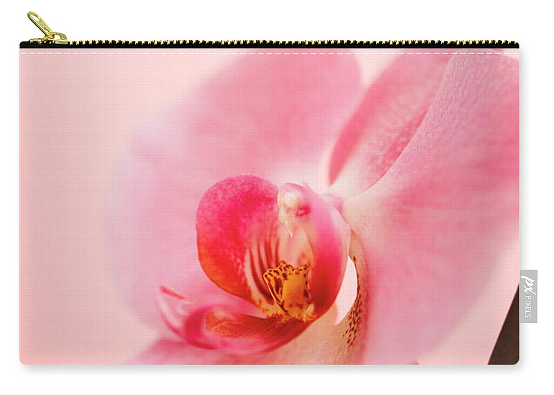 Orchid Zip Pouch featuring the photograph Pink Orchid Closeup by Jelena Jovanovic