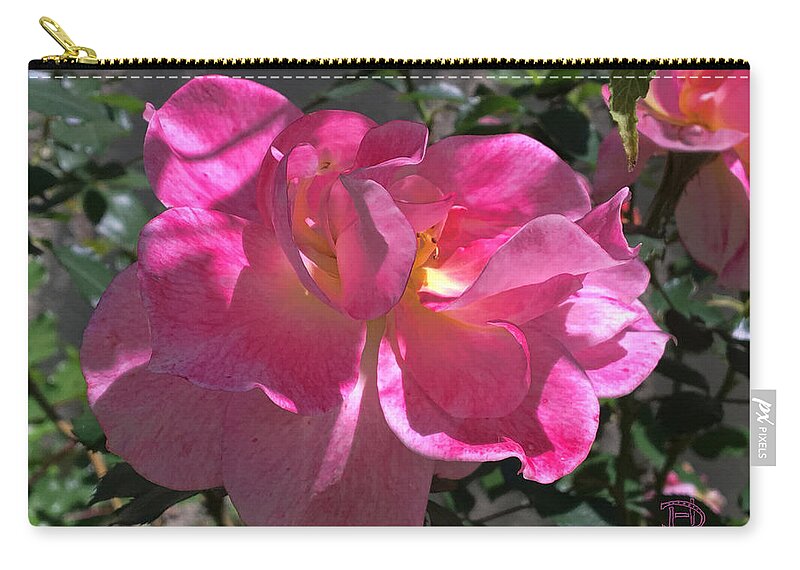 Pink Passion Zip Pouch featuring the photograph Pink Passion by Daniel Hebard