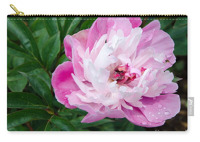 Pink Carry-all Pouch featuring the painting Pink Peony by Laurel Best