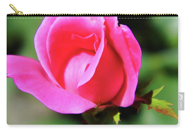 Rose Zip Pouch featuring the photograph Pink Rose Bud by D Hackett