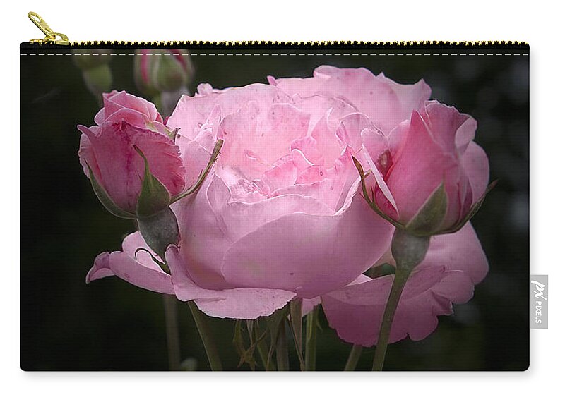 Rose Zip Pouch featuring the photograph Pink Rose with Buds by Michele A Loftus