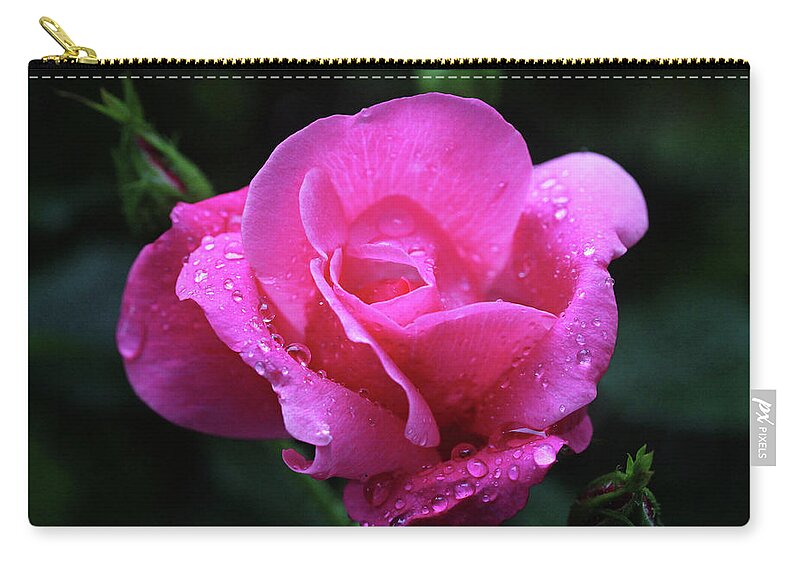 Roses Zip Pouch featuring the photograph Pink Rose with Raindrops by Trina Ansel