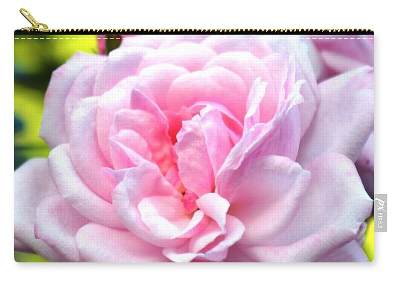 Rose Zip Pouch featuring the photograph Pink Rose by Zaira Dzhaubaeva