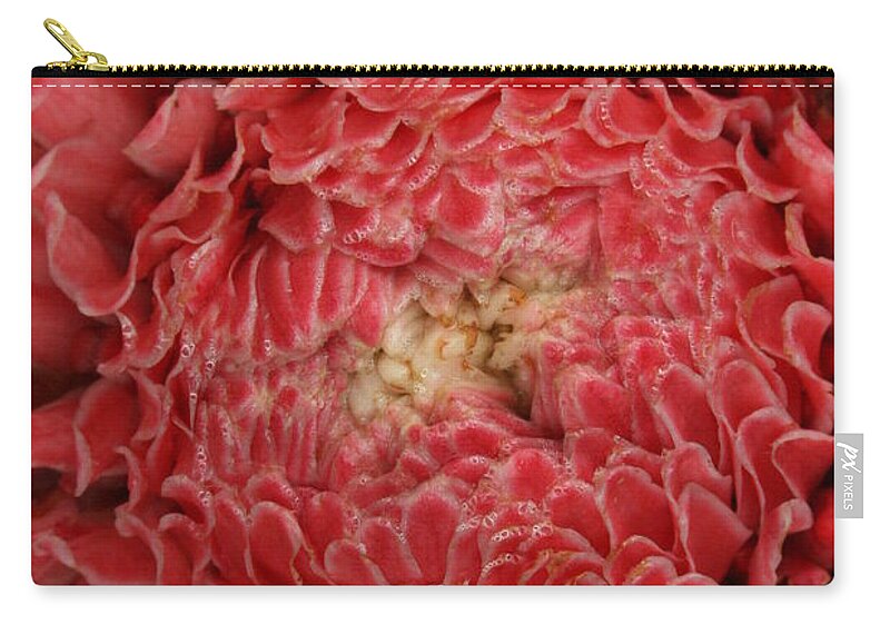 Torch Ginger Zip Pouch featuring the photograph Pink Torch Ginger 1 by Jennifer Bright Burr