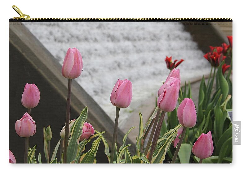 Tulips Zip Pouch featuring the photograph Pink Tulips by Allen Nice-Webb