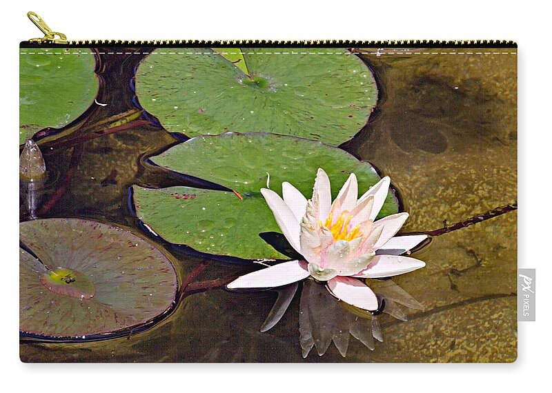 Water Zip Pouch featuring the photograph Pink Water Hyacinth Two by Peter J Sucy