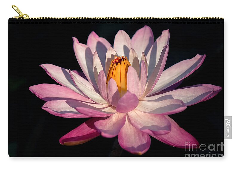 East Coast Zip Pouch featuring the photograph Pink Waterlily by Liesl Walsh
