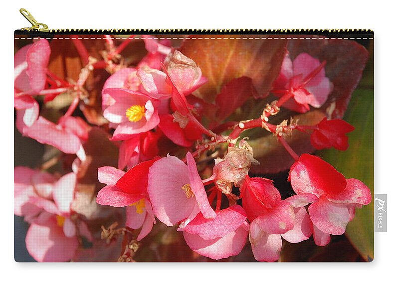 Small Pink Flowers Zip Pouch featuring the photograph Pink Yellow Centers by Ee Photography