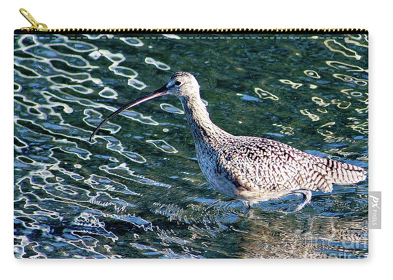 Bird Zip Pouch featuring the photograph Piper Profile by Adam Morsa