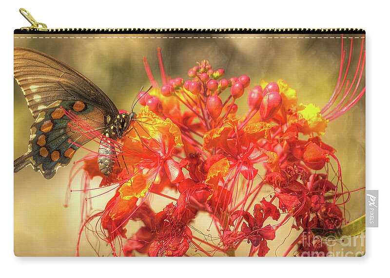 Butterfly Zip Pouch featuring the photograph Pipevine Swallowtail with Pride of Barbados by Michael Tidwell