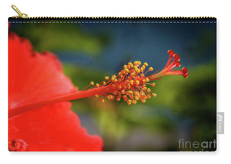 Hibiscus Zip Pouch featuring the photograph Pistil Of Hibiscus by Robert Bales