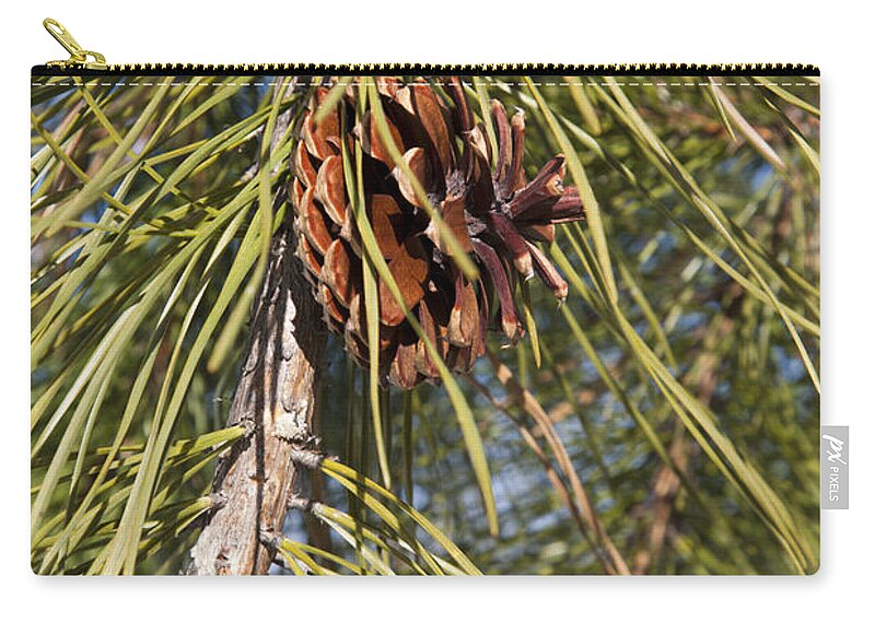 New England Zip Pouch featuring the photograph Pitch Pine by Erin Paul Donovan