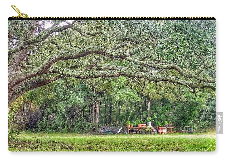 Oak Tree Zip Pouch featuring the photograph Plant It and The House Will Appear by Patricia Greer