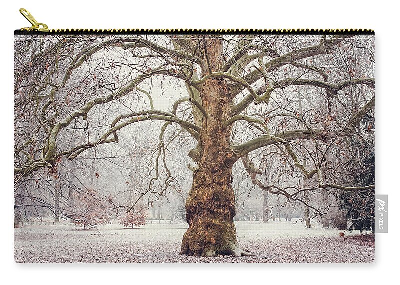 Jenny Rainbow Fine Art Photography Zip Pouch featuring the photograph Platan Tree in Early Winter by Jenny Rainbow