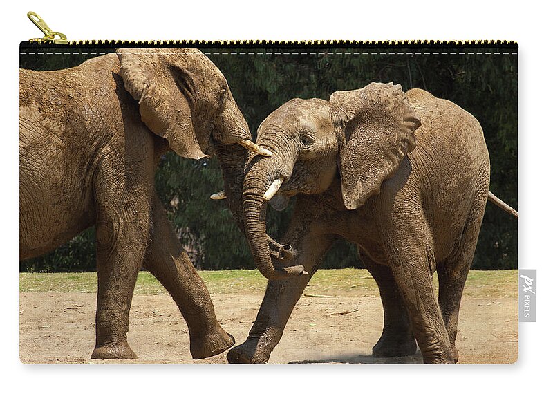 Elephants Zip Pouch featuring the photograph Playful Elephants by Anthony Jones