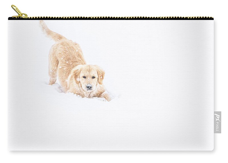 Playful Zip Pouch featuring the photograph Playful Puppy In So Much Snow by Jennifer Grossnickle