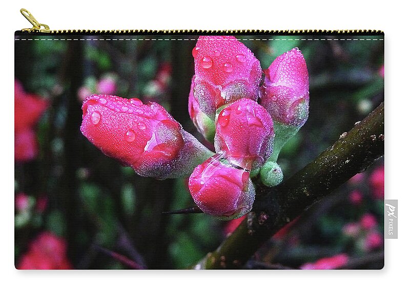 Plum Zip Pouch featuring the photograph Plum Blossom 1 by Xueling Zou