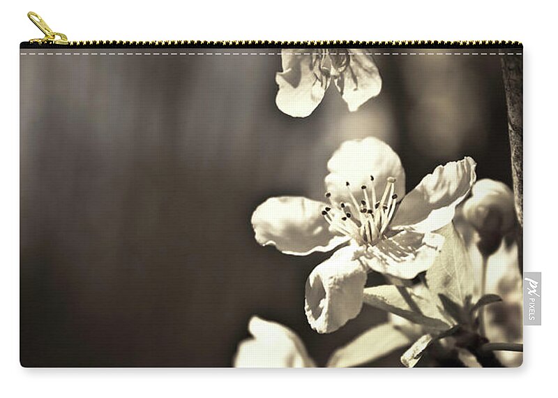 Plum Blossoms Zip Pouch featuring the photograph Plum Blossoms by Danielle Silveira