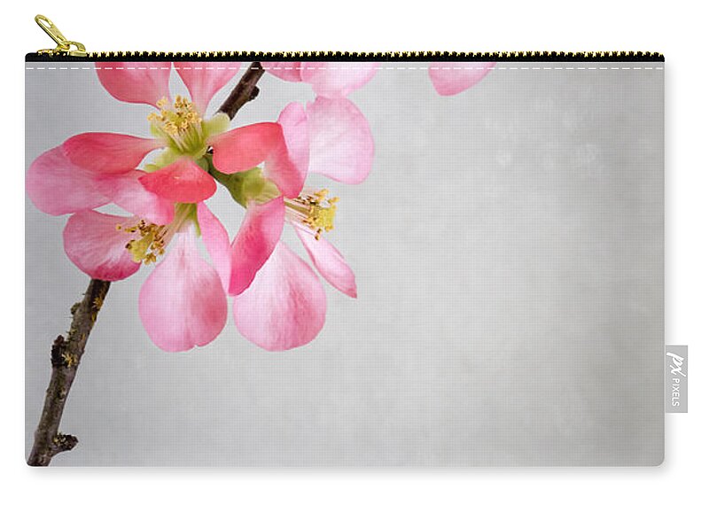 Plum Blossoms Zip Pouch featuring the photograph Plum Blossoms by Jade Moon 