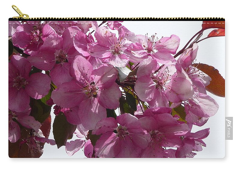 Flowers Carry-all Pouch featuring the photograph Plum Perfect by Ruth Kamenev
