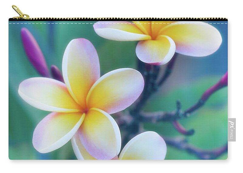 Floral Carry-all Pouch featuring the photograph Plumerias in Pastel by Jade Moon