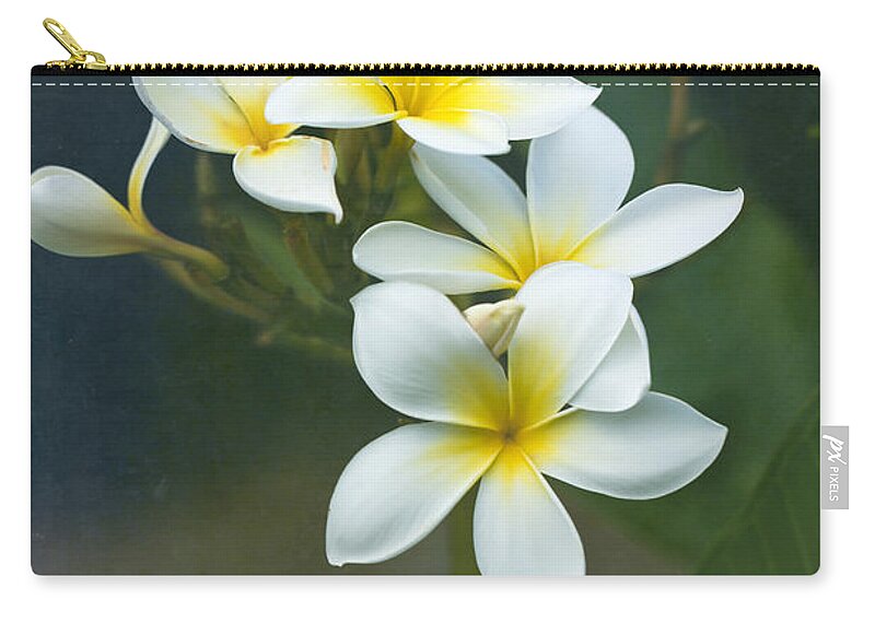 Plumerias Zip Pouch featuring the photograph Plumerias on a Cloudy Day by Jade Moon 