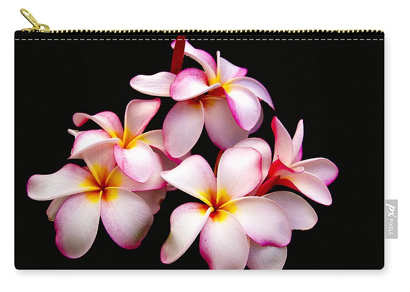 Plumerias Zip Pouch featuring the photograph Plumerias on Black by Jade Moon