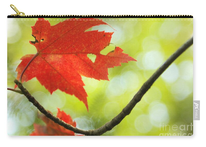 red Maple Leaf Zip Pouch featuring the photograph Poesie d'Automne by Aimelle Ml