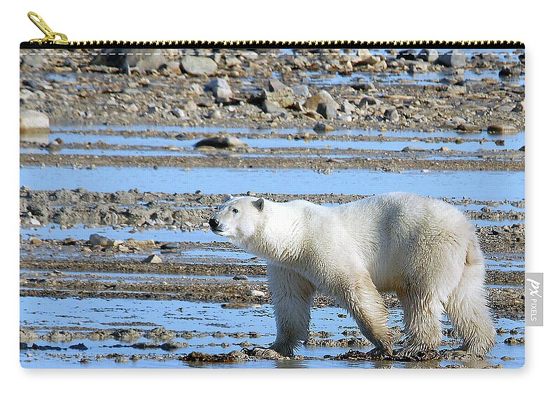 Polar Zip Pouch featuring the photograph Polar Bear in Water by Ted Keller