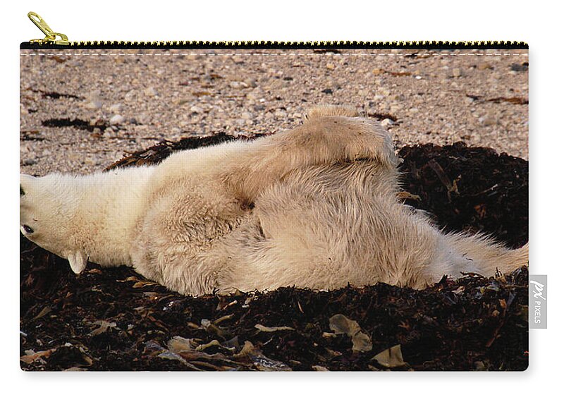 Polar Carry-all Pouch featuring the photograph Polar Bear Warmup by Ted Keller