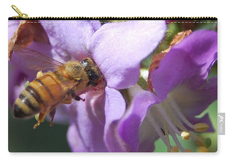 Bee Zip Pouch featuring the photograph Pollinating 5 by Amy Fose